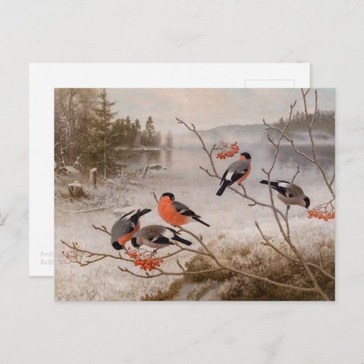 冬の風景でブルフィンチCC0821 Von Wright ポストカード (正面/裏面)