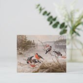 冬の風景でブルフィンチCC0821 Von Wright ポストカード (スタンド正面)