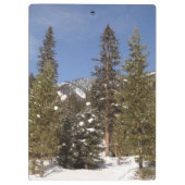 冬の風景にモンタナ山のトレイル写真 クリップボード (裏面)
