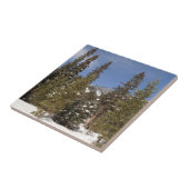 冬の風景にモンタナ山のトレイル写真 タイル (側面)