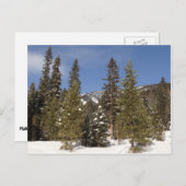 冬の風景にモンタナ山のトレイル写真 ポストカード (正面/裏面)