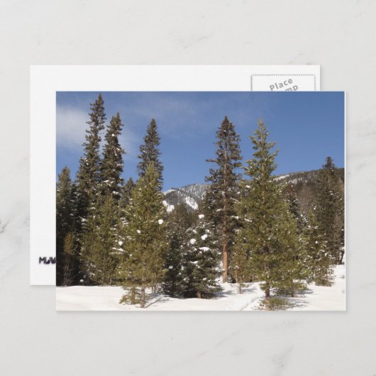 冬の風景にモンタナ山のトレイル写真 ポストカード (正面/裏面)