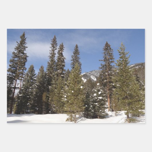 冬の風景にモンタナ山のトレイル写真 ラッピングペーパーシート (正面3)