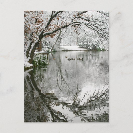 冬の風景のポストカード ポストカード (正面)