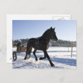 冬の風景の中で馬を訓練すること ポストカード (正面/裏面)