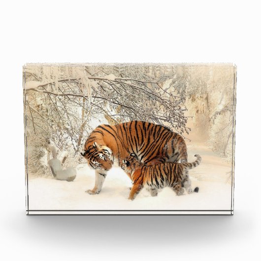 冬の風景の虎の家族フォトブロック フォトブロック (正面)