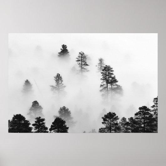 冬の風景モノクロ写真 ポスター (正面)