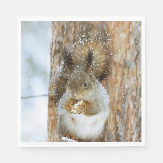 冬の風景内のかわいいリス スタンダードランチョンナプキン (正面)
