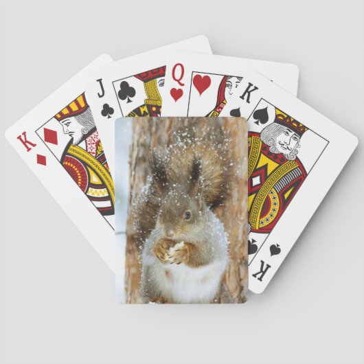 冬の風景内のかわいいリス トランプ (裏面)