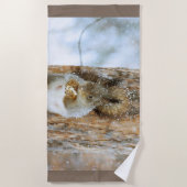 冬の風景内のかわいいリス ビーチタオル (正面)