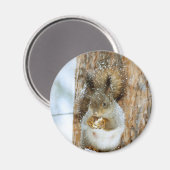 冬の風景内のかわいいリス マグネット (正面/裏面)