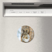 冬の風景内のかわいいリス マグネット (インサイチュ (食洗機))