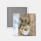 冬の風景内のかわいいリス マグネット (正面/裏面)