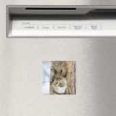 冬の風景内のかわいいリス マグネット (インサイチュ (食洗機))