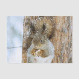 冬の風景内のかわいいリス 薄葉紙