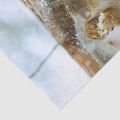 冬の風景内のかわいいリス 薄葉紙 (詳細)