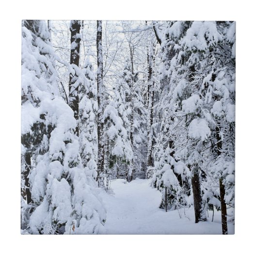 冬の風景 森の雪景色 タイル (正面)