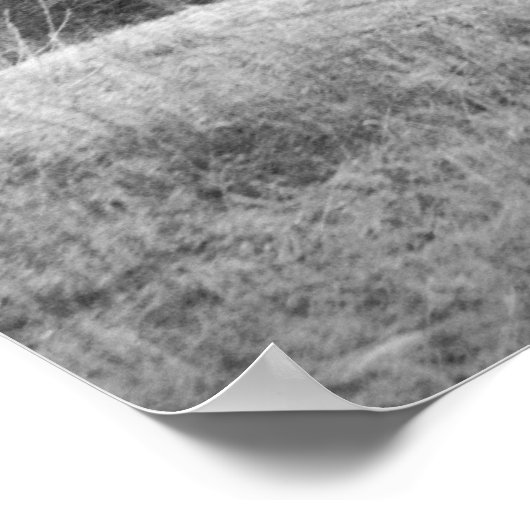 冬の風 ポスター (角)