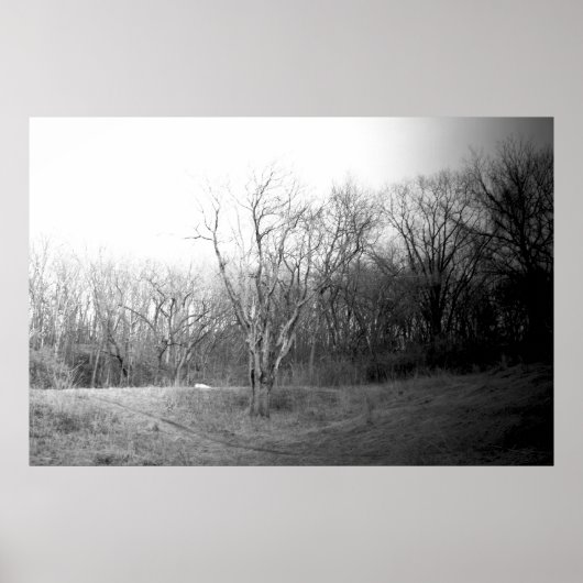 冬の風 ポスター (正面)