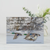 冬の飛翔 シーズンカード (スタンド正面)