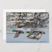 冬の飛行 シーズンカード (正面/裏面)