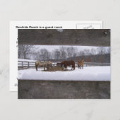 冬の食事はがき ポストカード (正面/裏面)