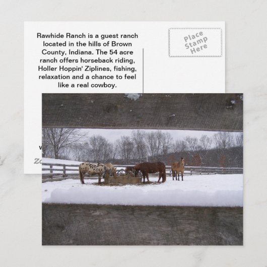 冬の食事はがき ポストカード (正面/裏面)