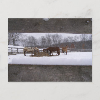 冬の食事はがき ポストカード