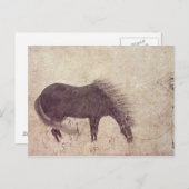 冬の馬と新郎 ポストカード (正面/裏面)