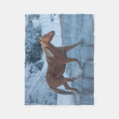 冬の馬のドライブでハイドウストラン フリースブランケット (正面)