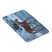 冬の馬のドライブでハイドウストラン マグネット (右側)