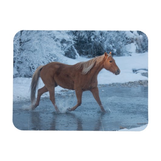冬の馬のドライブでハイドウストラン マグネット (横)