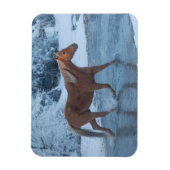 冬の馬のドライブでハイドウストラン マグネット (縦)