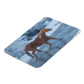 冬の馬のドライブでハイドウストラン マグネット (左側)