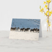 冬の馬のドライブで隠れ家の牧場 カード (黄色い花)