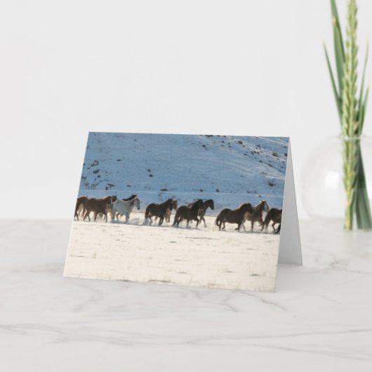 冬の馬のドライブで隠れ家の牧場 カード (正面)