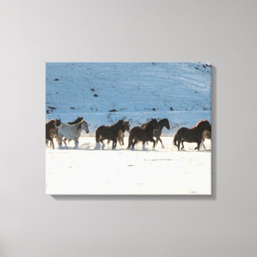 冬の馬のドライブで隠れ家の牧場 キャンバスプリント (正面)