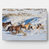 冬の馬のドライブで隠れ家の牧場 フォトプラーク (正面)