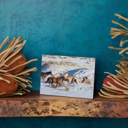 冬の馬のドライブで隠れ家の牧場 フォトプラーク (側面)