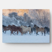 冬の馬のドライブで隠れ家の牧場 フォトプラーク (正面)