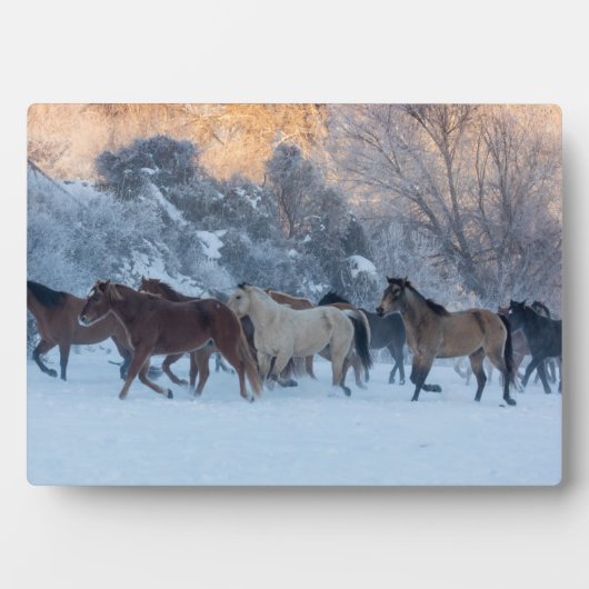冬の馬のドライブで隠れ家の牧場 フォトプラーク (正面)