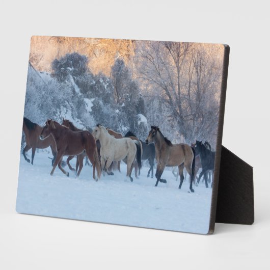 冬の馬のドライブで隠れ家の牧場 フォトプラーク (側面)