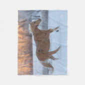 冬の馬のドライブで隠れ家の牧場 フリースブランケット (正面)