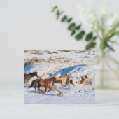 冬の馬のドライブで隠れ家の牧場 ポストカード (スタンド正面)