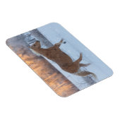 冬の馬のドライブで隠れ家の牧場 マグネット (右側)