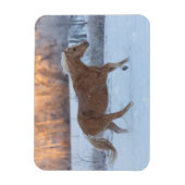 冬の馬のドライブで隠れ家の牧場 マグネット (縦)