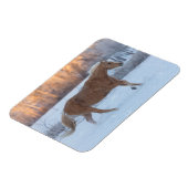 冬の馬のドライブで隠れ家の牧場 マグネット (左側)