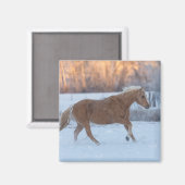 冬の馬のドライブで隠れ家の牧場 マグネット (正面/裏面)