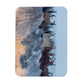 冬の馬のドライブで隠れ家の牧場 マグネット (縦)