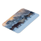 冬の馬のドライブで隠れ家の牧場 マグネット (左側)